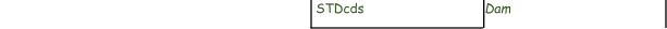 STDcds Dam
